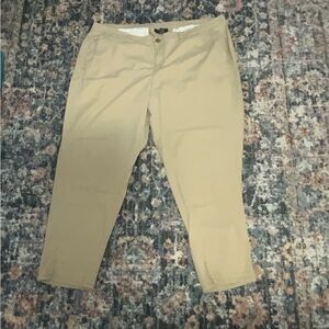 Lane Bryant Khakis
